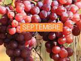 Septembre : fruits et légumes