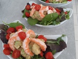 Entrée belle, délicieuse et rapide à faire : mesclun, avocat, tomates cerises et crevettes