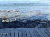 Saint-gilles les bains côté plage - île de la Réunion