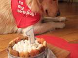 Pastel (Torta) de Cumpleaños (para perritos)