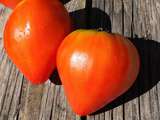 Tomates « Coeur de Boeuf »