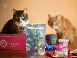 Miaoubox : même les chats ont leur box