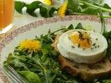 Salade de pissenlit -feuilles fleurs et gelée- et sa tartine de Rocamadour