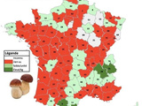 Cèpes, Morilles… Une Carte des Coins à Champignons Élaborée par un Géologue Ariégeois Divise les Cueilleurs