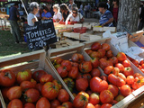 Salades du Monde : La Tomate dans Tous ses États