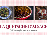 Guide ultime de la quetsche d’Alsace : saison, astuces et recettes