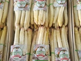 Saison des asperges d’Alsace 2026 est lancée