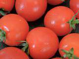 Tarte fine pesto de basilic et tomates confites