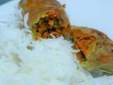 Beef and Carrot Rolls