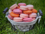 Macarons aux fruits (et à la rose)