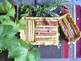 Tartelette rectangulaire à la rhubarbe bio