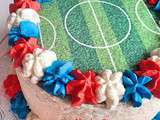 Layer Cake Terrain de foot (Allez les Bleus)