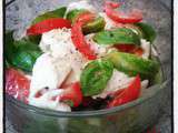 Salade aux couleurs de l'Italie, tomates vertes et rouge et mozzarella de bufflonne