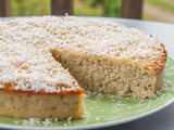 Gâteau à la crème et noix de coco facile