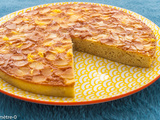 Gâteau moelleux à l’orange et aux amandes