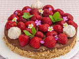 Gâteau type cheesecake à la mousse au chocolat et aux fraises