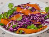 Salade de chou rouge, mâche et carotte
