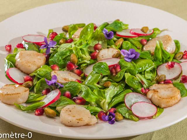 Recettes de Salade de saint jacques