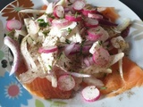 Salade truite fumée-fenouil-oignon rouge-radis- feta