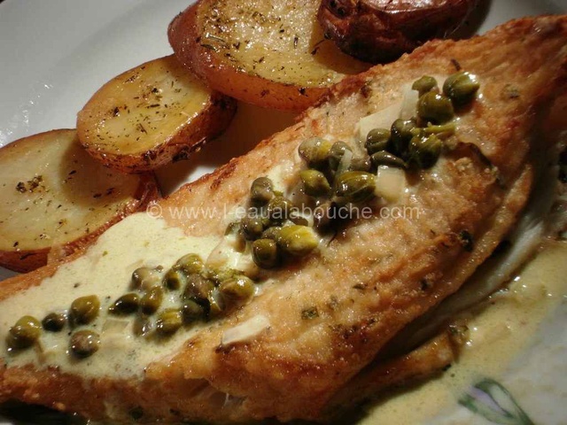 Recettes d'Aile de raie et Poêlée
