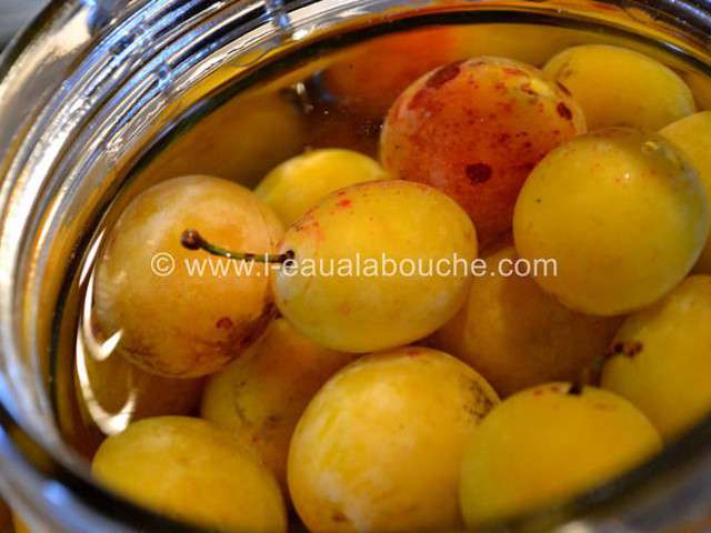 Recette Mirabelle à Leau De Vie