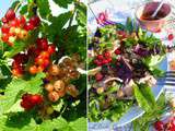 Salade de saumon sauvage aux fruits rouges