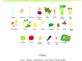 Fruits et légumes de saison : avril