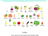 Fruits et légumes de saison : fevrier