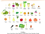 Fruits et Légumes de saison : novembre