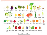 Fruits et légumes de saison : octobre