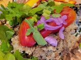 Schnitzel d'aubergine et salade de carotte
