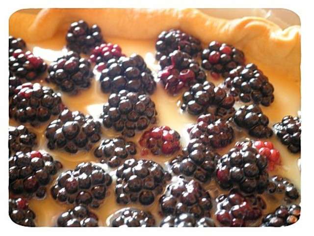 Les Meilleures Recettes De Mure Et Chocolat Blanc