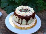Layer cake Pistache/Nuttela