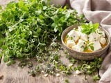 Ces plantes aromatiques que je fais pousser pour accompagner ma feta maison