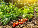 Comment j’économise l’eau au potager sans sacrifier mes récoltes