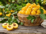 Comment je congèle les mirabelles pour les retrouver intactes en hiver