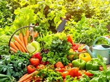 Comment je conserve mes légumes du jardin sans les perdre