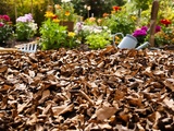 Comment je prépare mon jardin avec un paillage malin en fin d’été