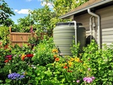 Eau de pluie : comment j’arrose tout mon jardin sans toucher au robinet