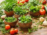 Herbes que je cultive pour faire des marinades maison bluffantes