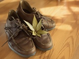 J’ai glissé une feuille de laurier dans mes chaussures : l’effet inattendu est bluffant