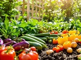 J’ai planté tous les légumes pour faire ma propre ratatouille (et c’est trop satisfaisant)