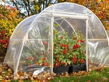 Mini-serre maison m’a permis de récolter des tomates cerise jusqu’en octobre (et c’est facile à faire)