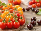 Tomates cerises les plus sucrées que j’ai goûtées (et où les trouver)