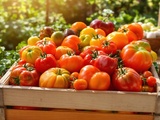 Tomates, chiffres et écologie : ce que j’ai découvert sur ce fruit si populaire