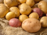 Variétés de pommes de terre que j’ai testées et leurs usages parfaits