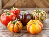 Variétés de tomates que je cultive pour des farcies parfaites