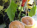 Ronde Interblogs - Les muffins pommes-poires-cannelle de Bree