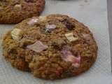 Cookies avoine cannelle raisins
