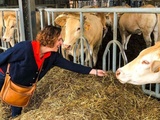 Protégé : Une visite à la ferme Gardelly dans les Landes